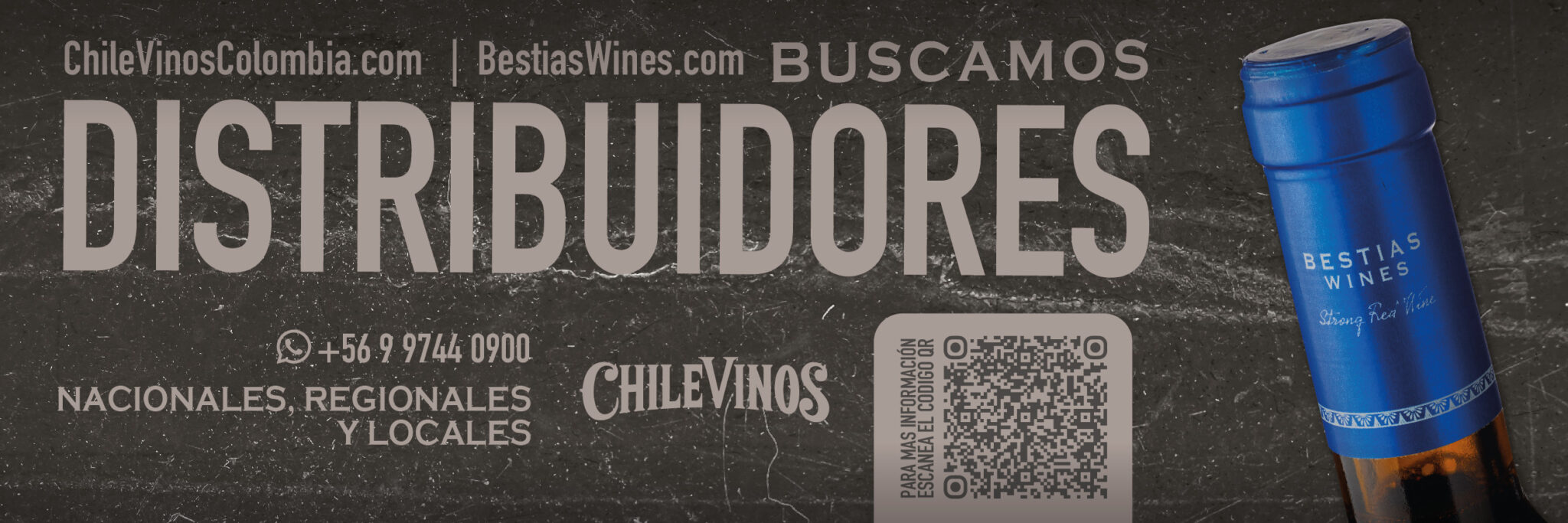 CHILEVINOS BANNER WEB pendones 1200X400_2