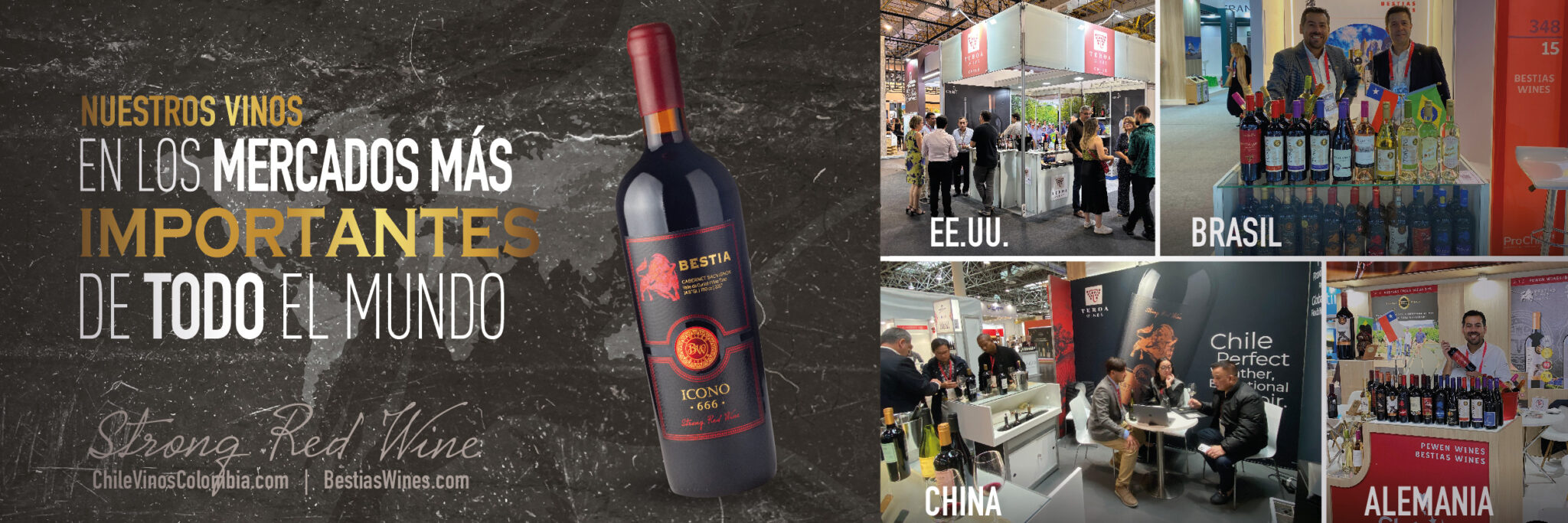 CHILEVINOS BANNER WEB pendones 1200X400_6